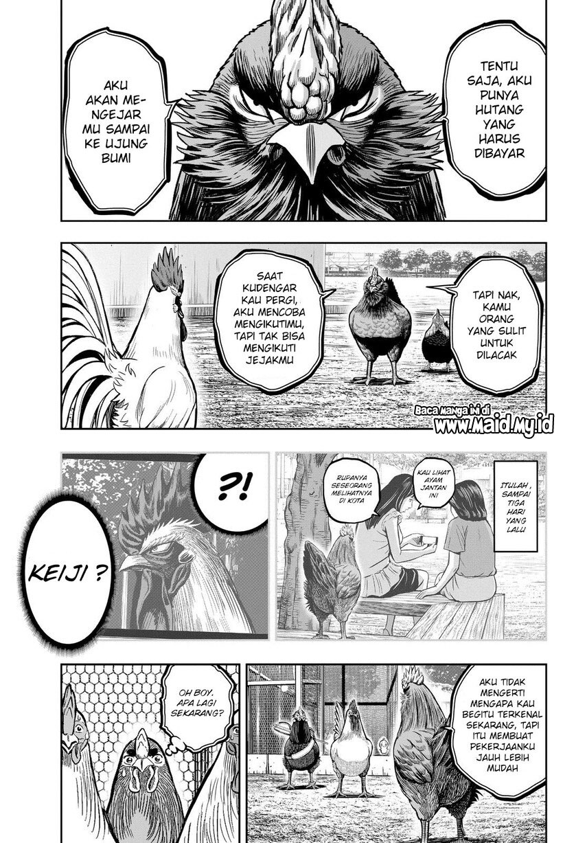 Rooster Fighter Chapter 11 - halaman 17