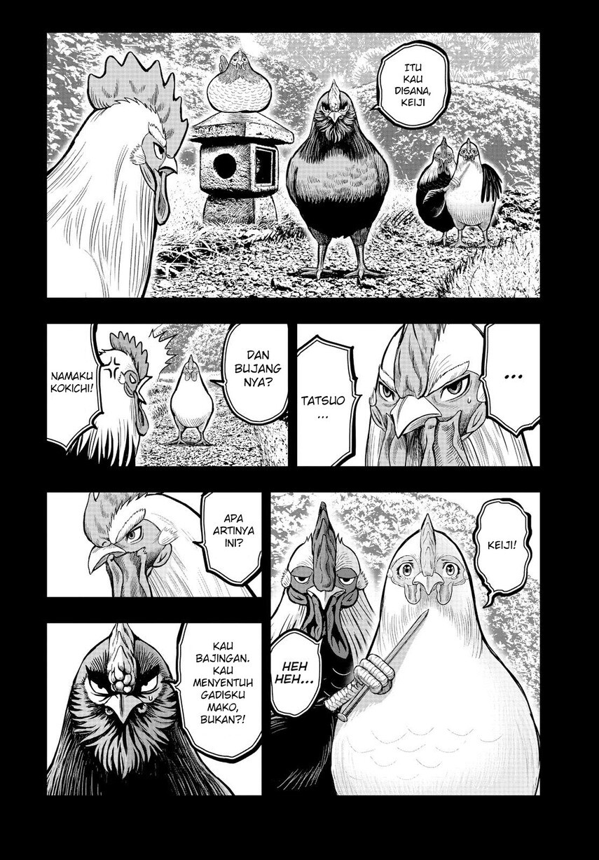 Rooster Fighter Chapter 11 - halaman 20