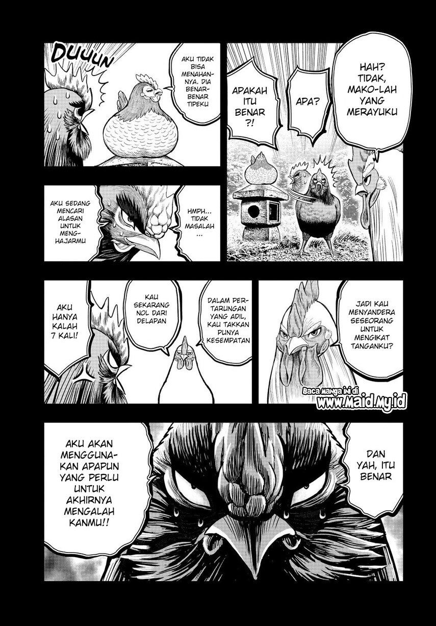Rooster Fighter Chapter 11 - halaman 21
