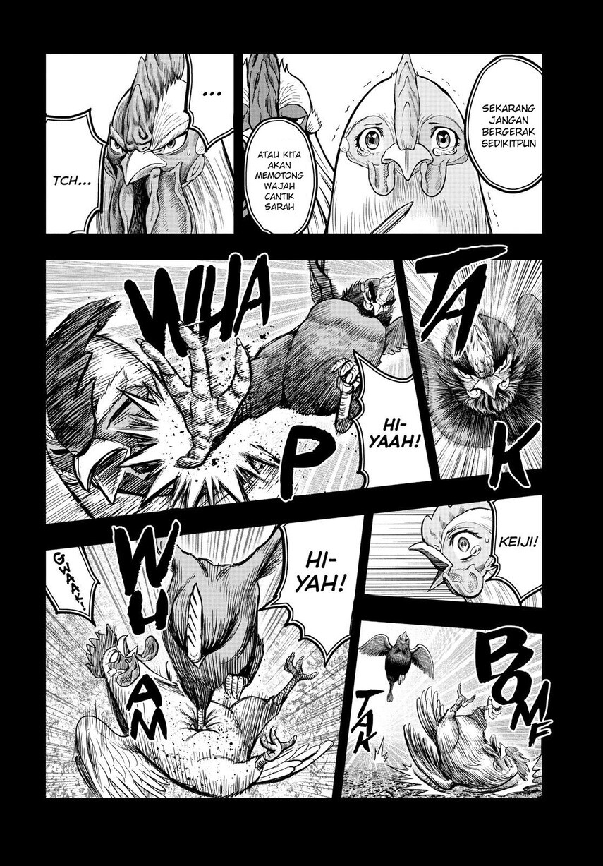 Rooster Fighter Chapter 11 - halaman 22