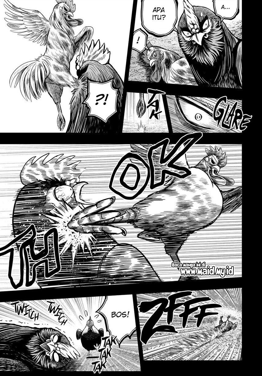 Rooster Fighter Chapter 11 - halaman 25