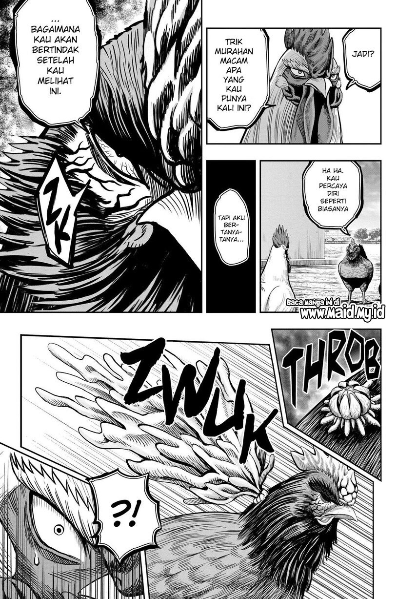 Rooster Fighter Chapter 11 - halaman 27