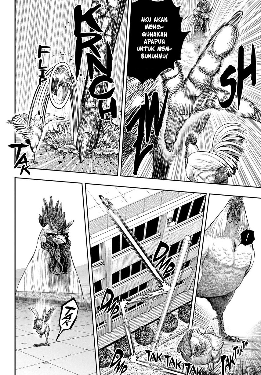 Rooster Fighter Chapter 11 - halaman 33