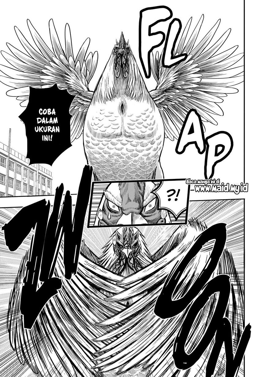Rooster Fighter Chapter 11 - halaman 38