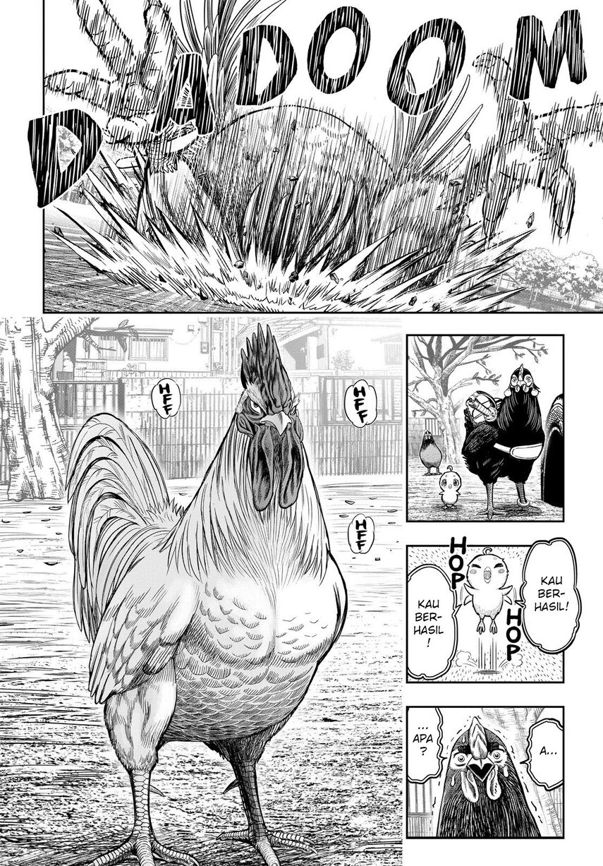 Rooster Fighter Chapter 11 - halaman 46
