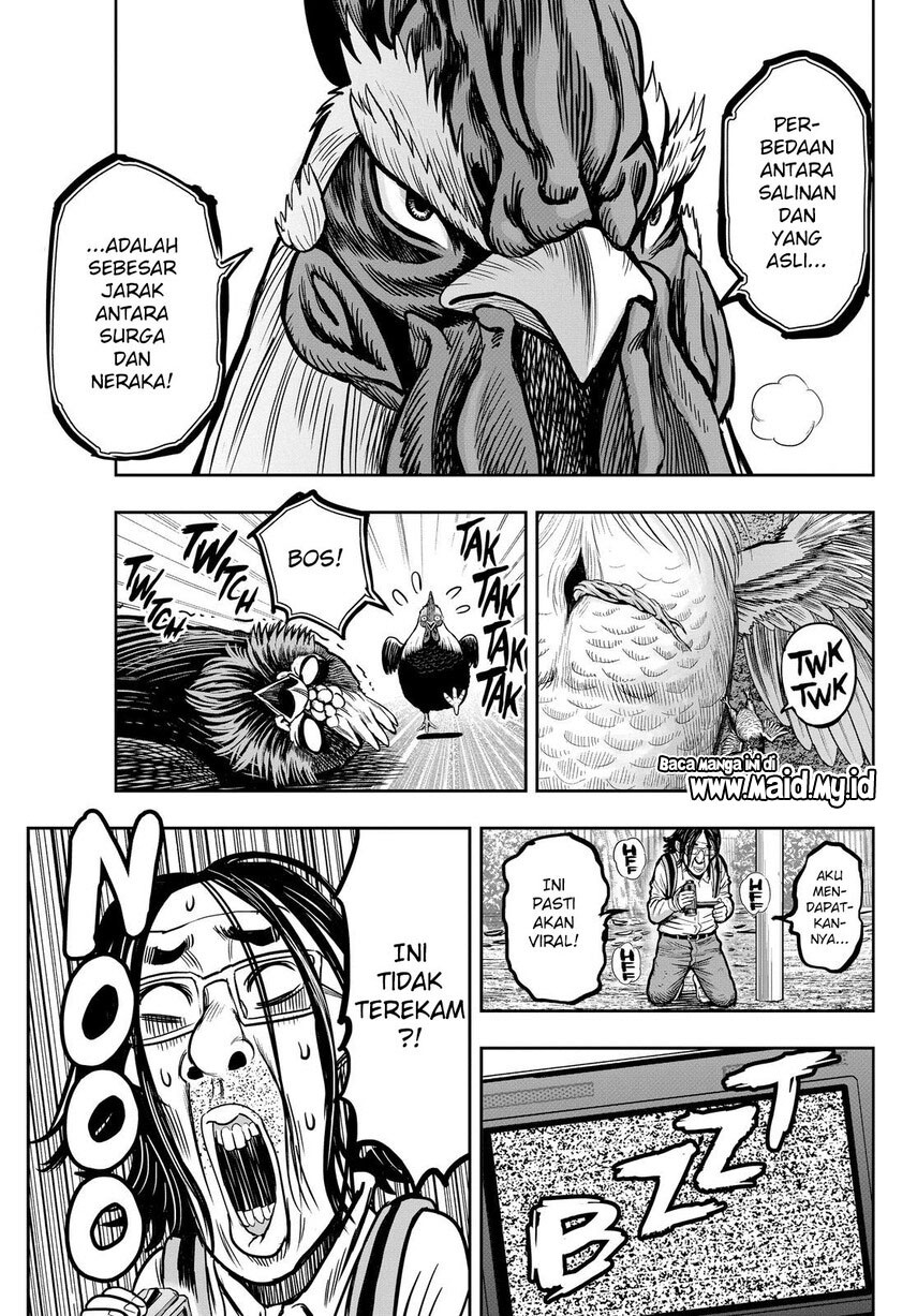 Rooster Fighter Chapter 11 - halaman 47