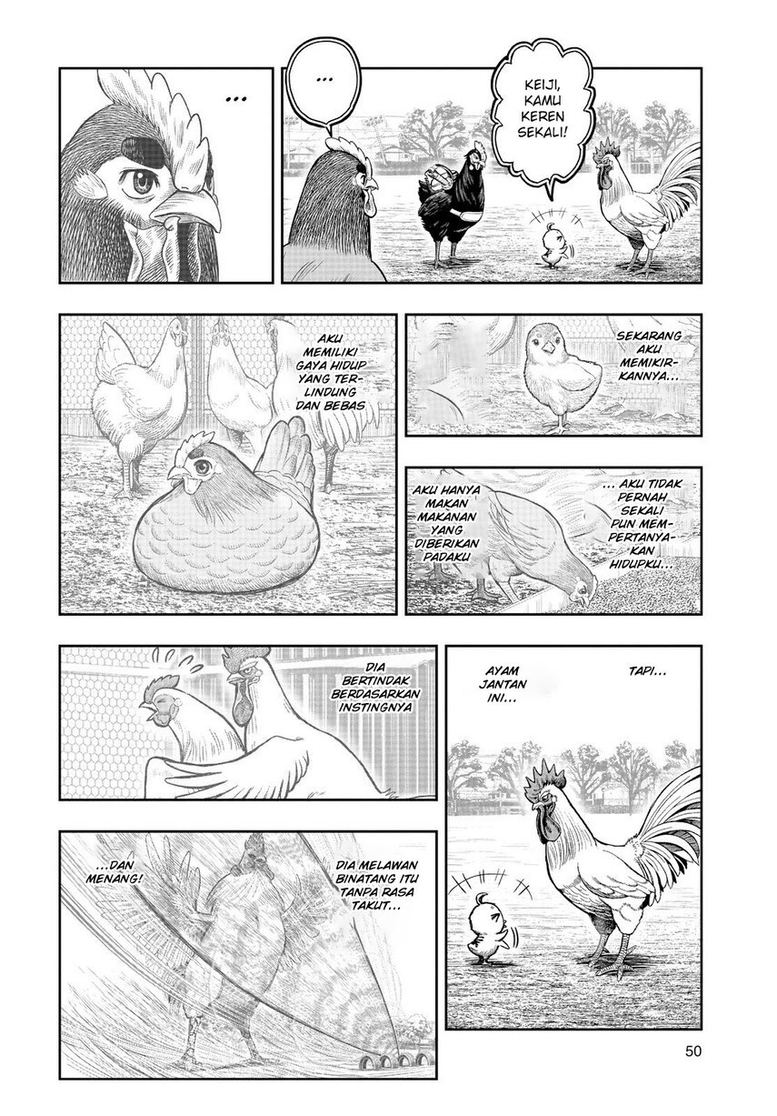 Rooster Fighter Chapter 11 - halaman 48