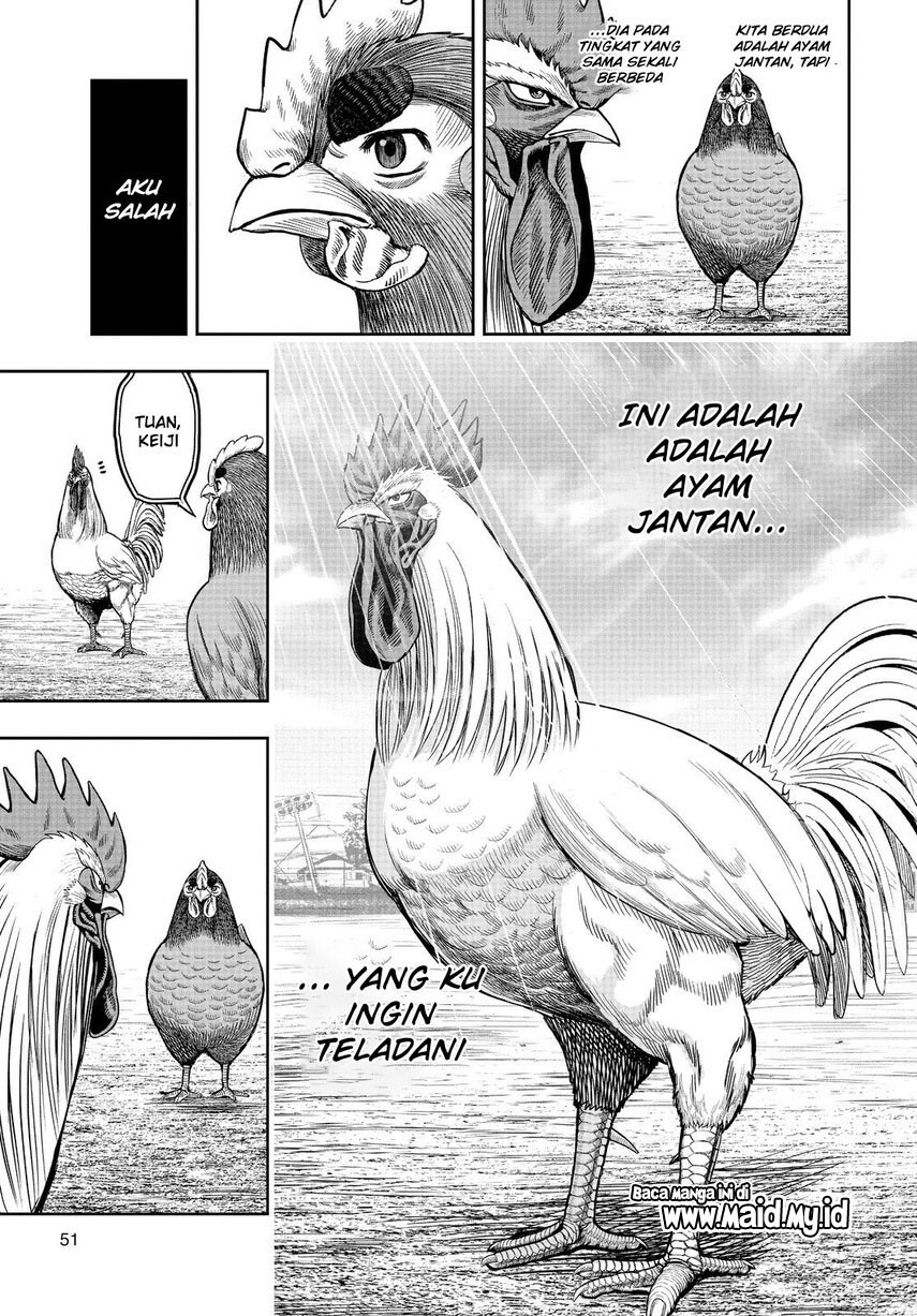 Rooster Fighter Chapter 11 - halaman 49