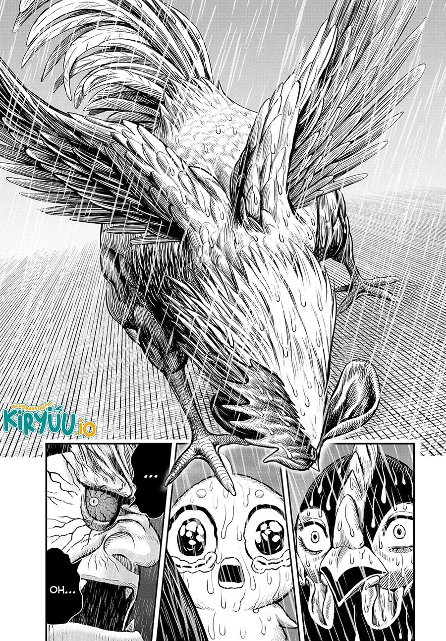 Rooster Fighter Chapter 14 - halaman 32
