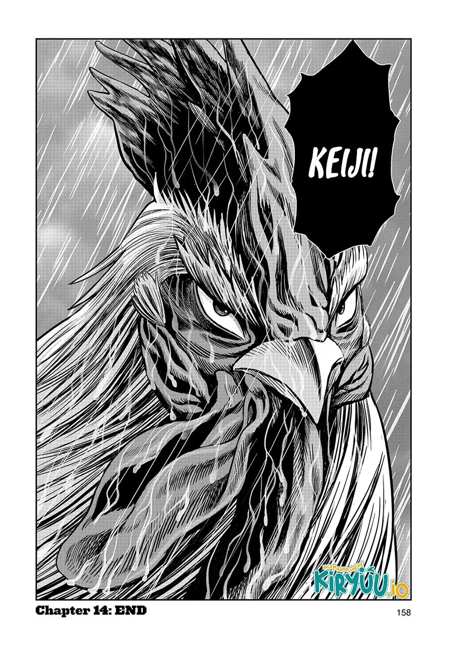 Rooster Fighter Chapter 14 - halaman 33