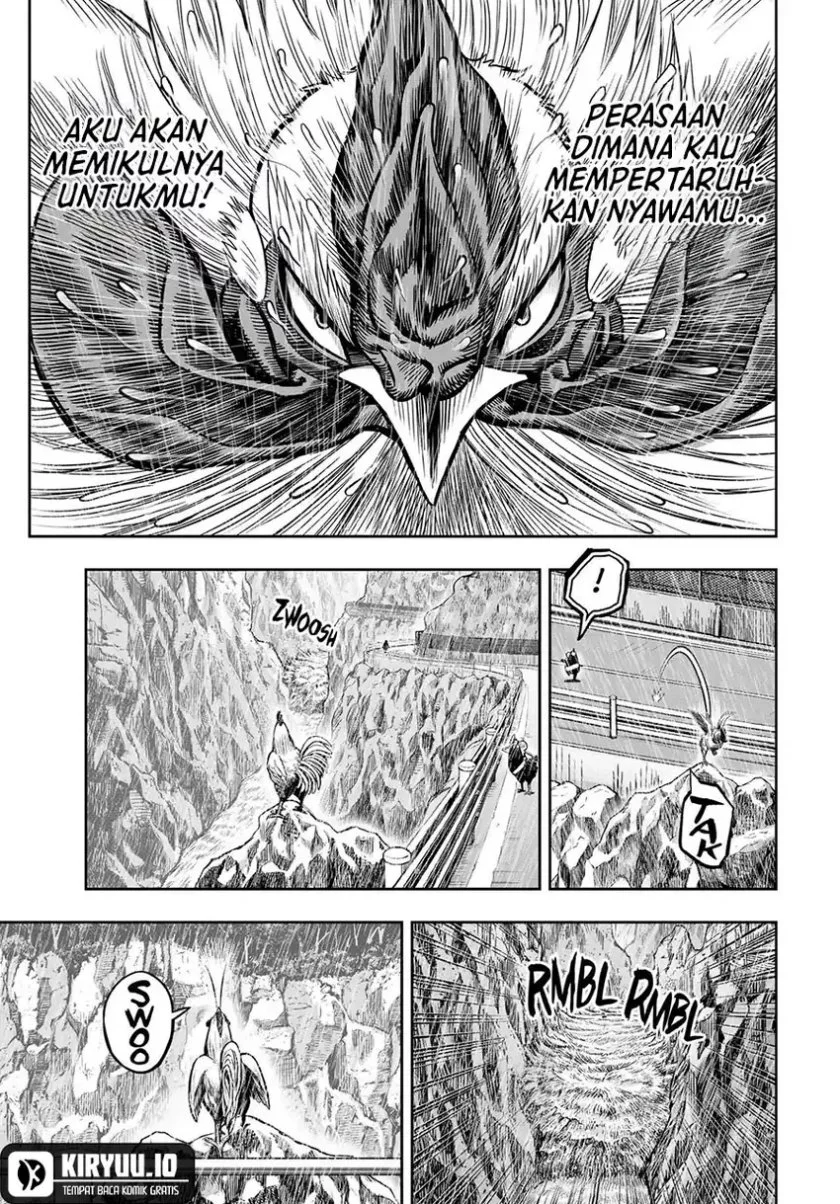 Rooster Fighter Chapter 15 - halaman 13