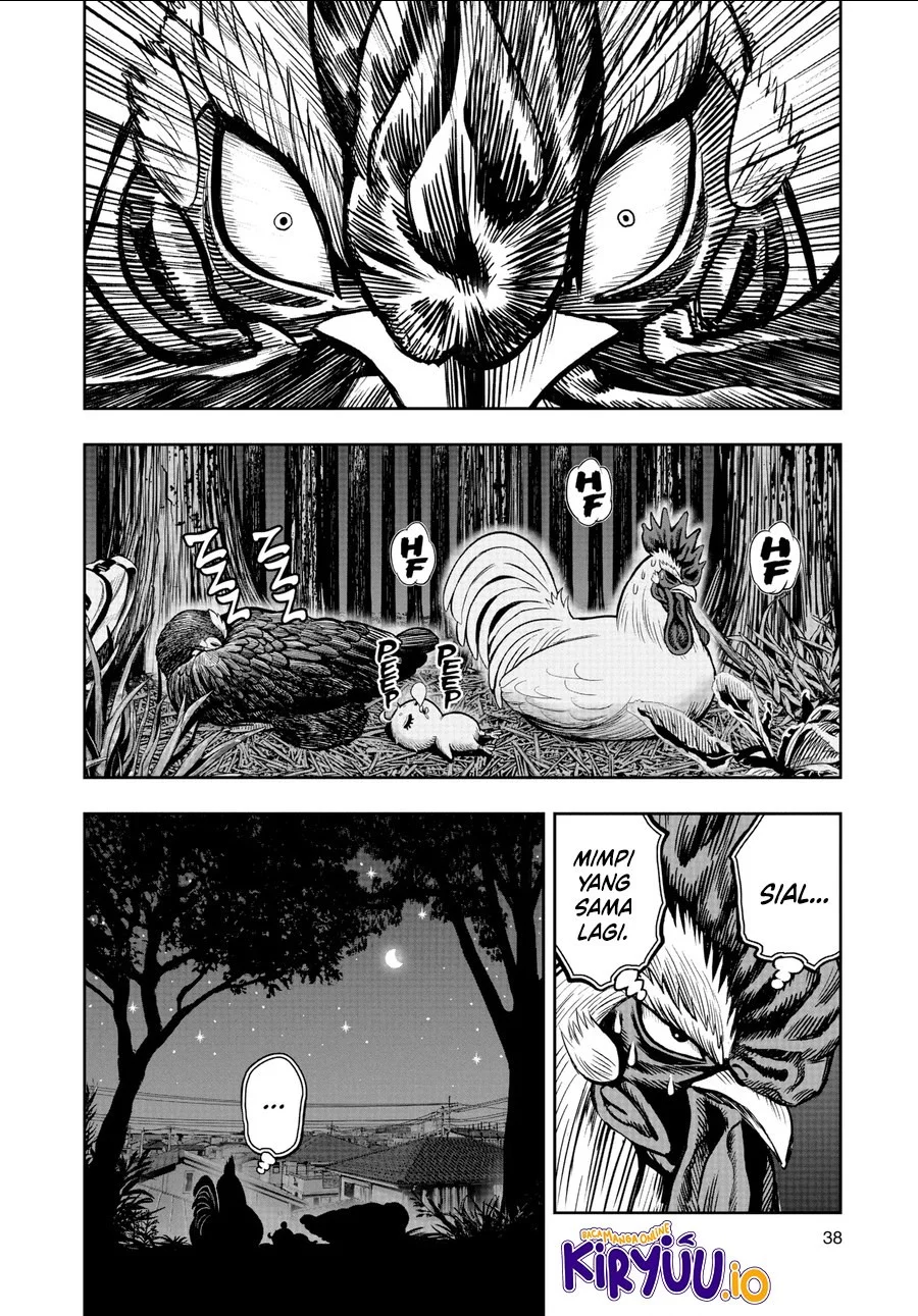 Rooster Fighter Chapter 17 - halaman 11