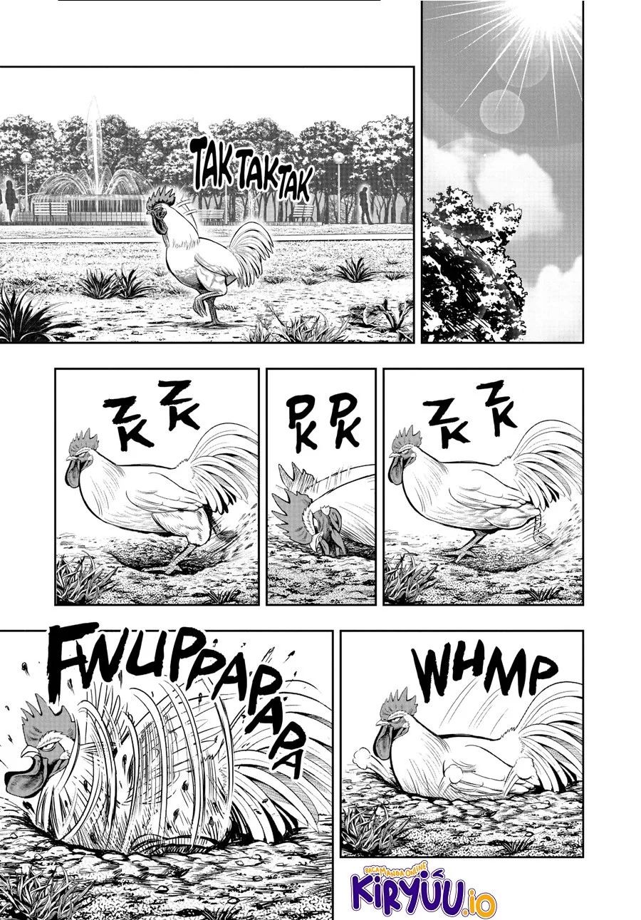 Rooster Fighter Chapter 17 - halaman 12