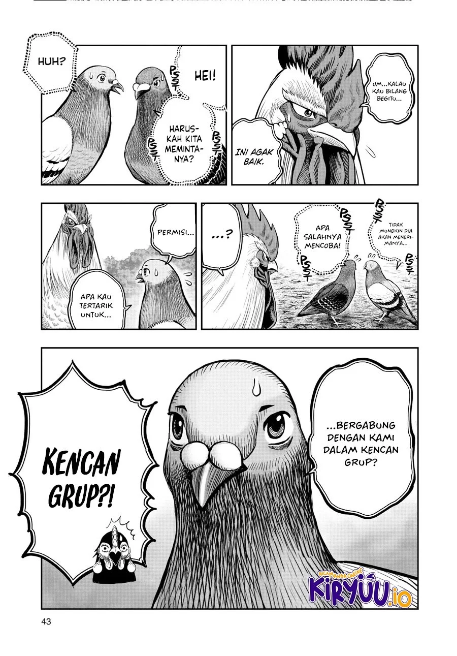 Rooster Fighter Chapter 17 - halaman 16