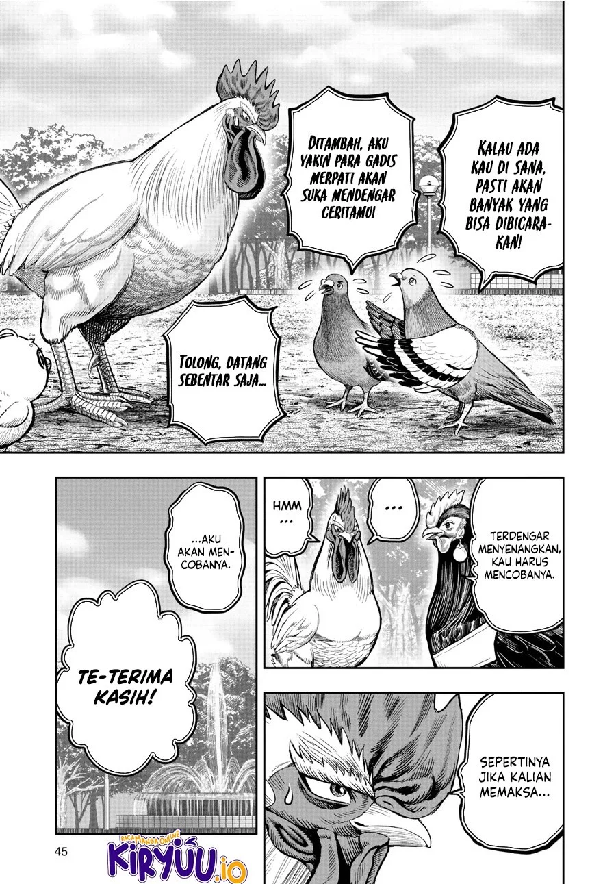 Rooster Fighter Chapter 17 - halaman 18
