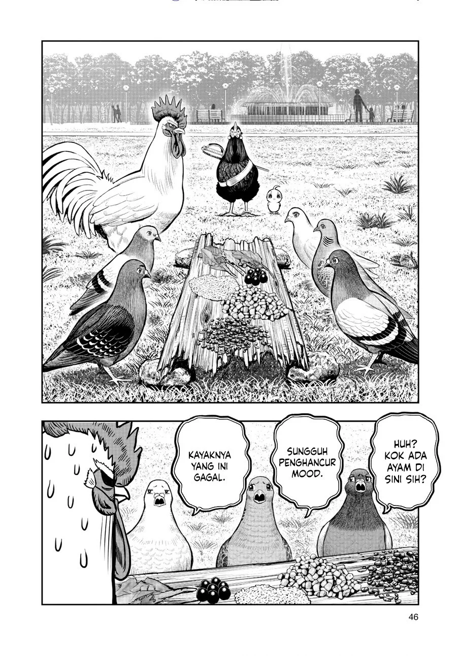 Rooster Fighter Chapter 17 - halaman 19