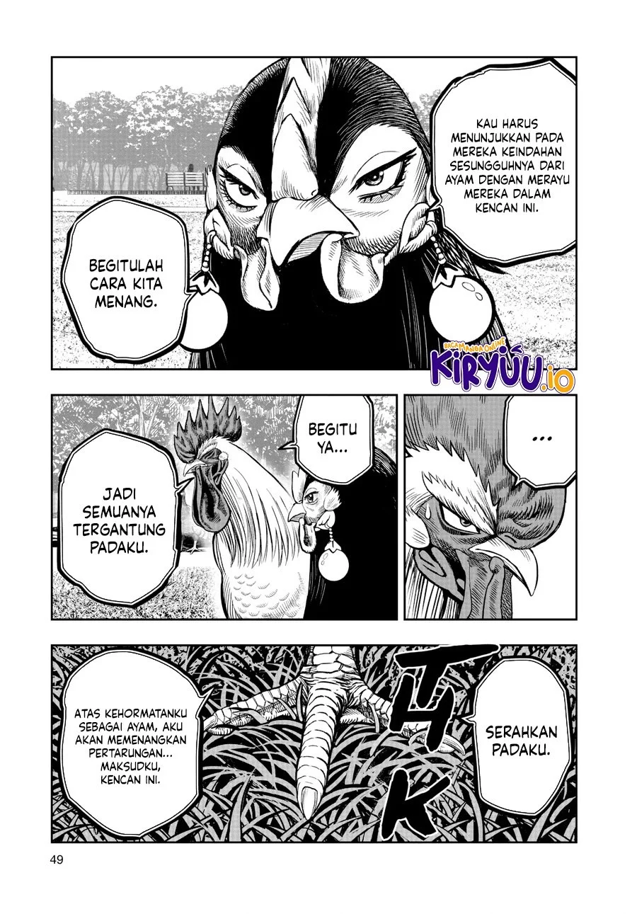 Rooster Fighter Chapter 17 - halaman 22