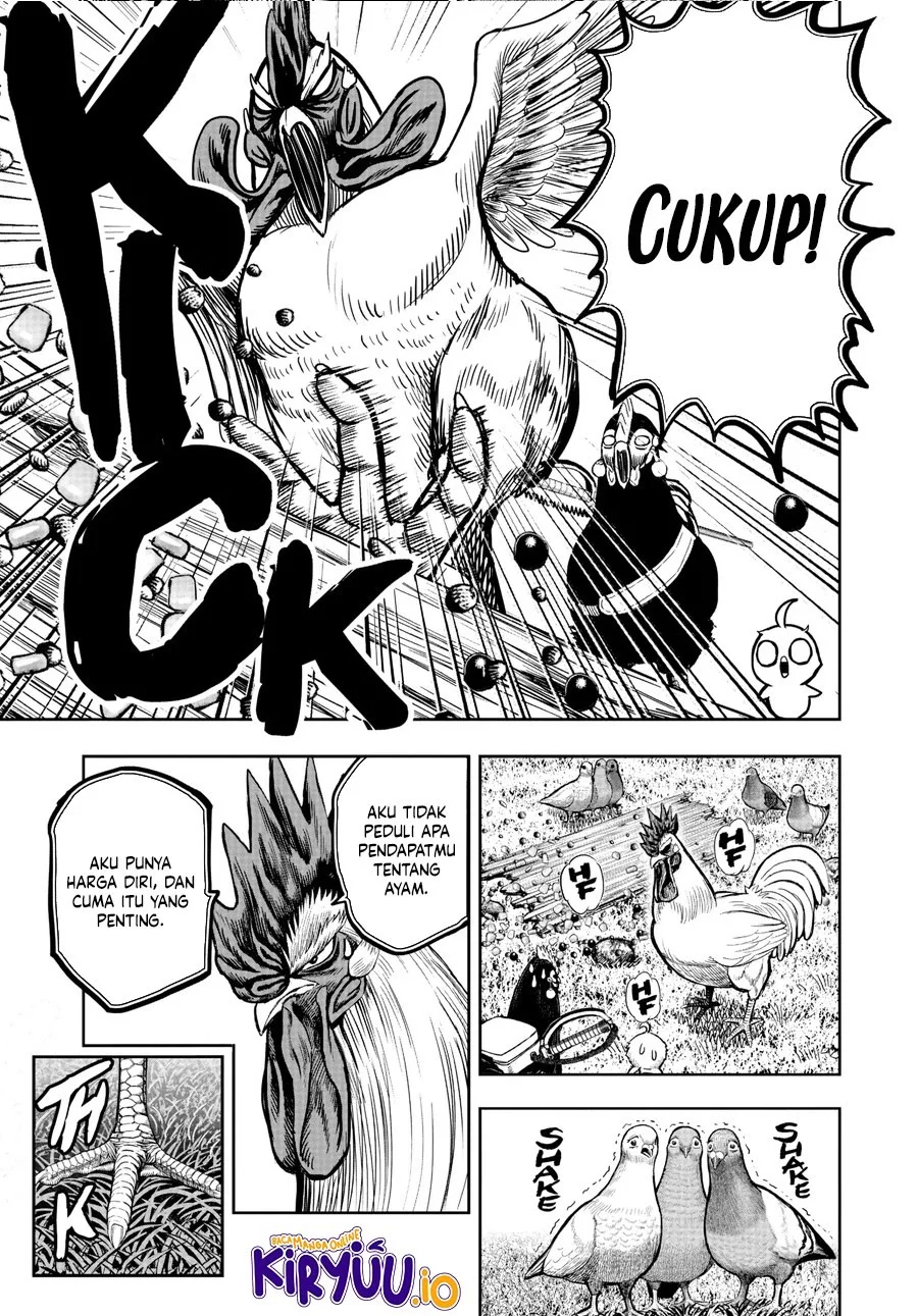 Rooster Fighter Chapter 17 - halaman 28