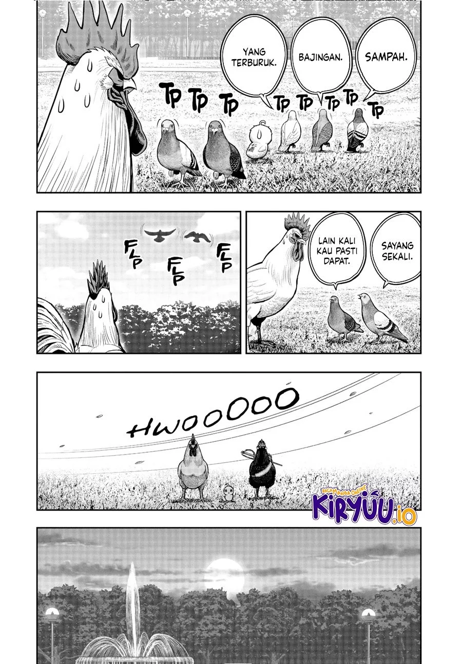 Rooster Fighter Chapter 17 - halaman 34
