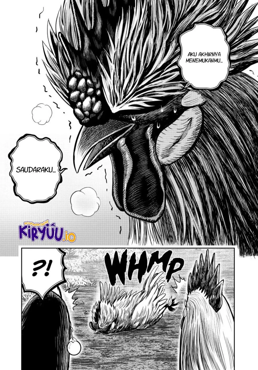 Rooster Fighter Chapter 18 - halaman 33