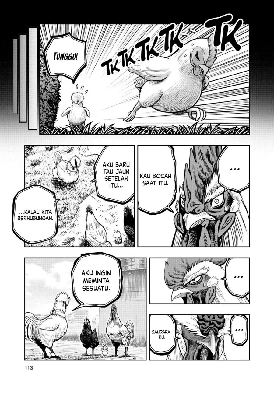 Rooster Fighter Chapter 19 - halaman 16