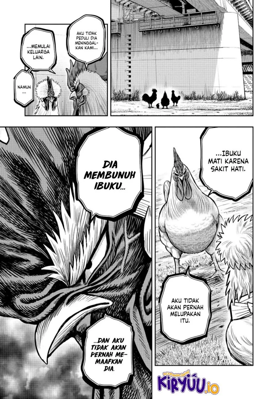 Rooster Fighter Chapter 19 - halaman 24