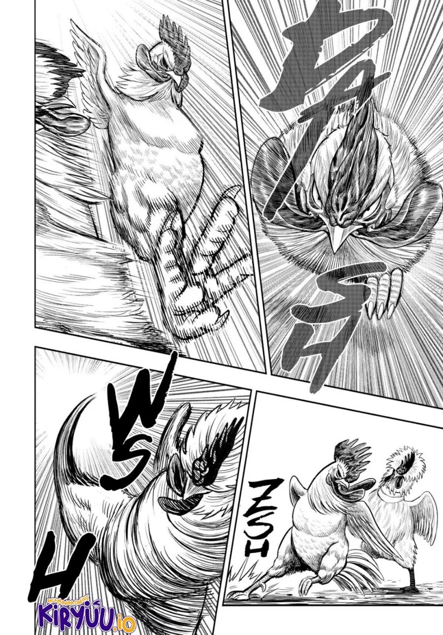 Rooster Fighter Chapter 19 - halaman 29