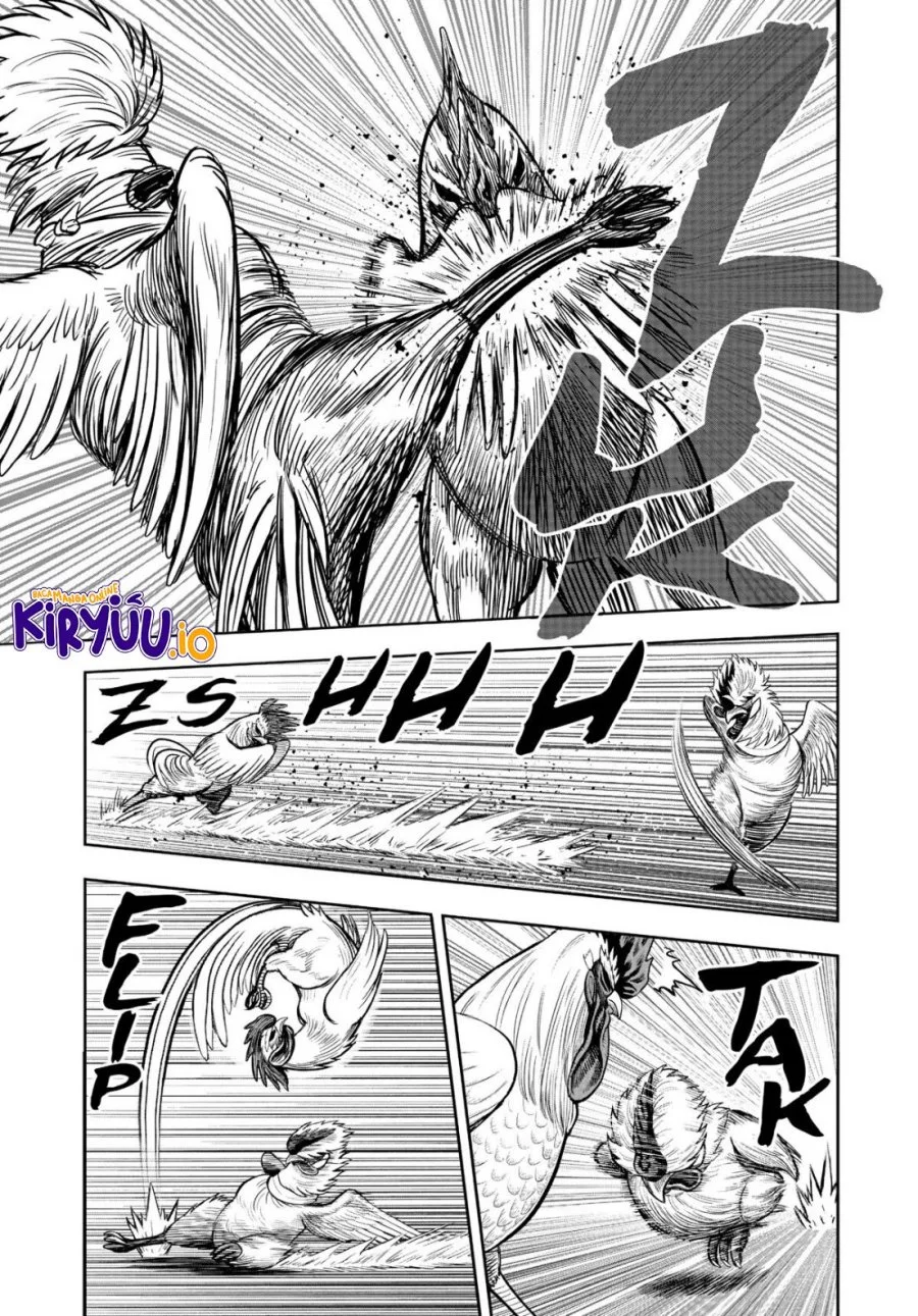 Rooster Fighter Chapter 19 - halaman 30