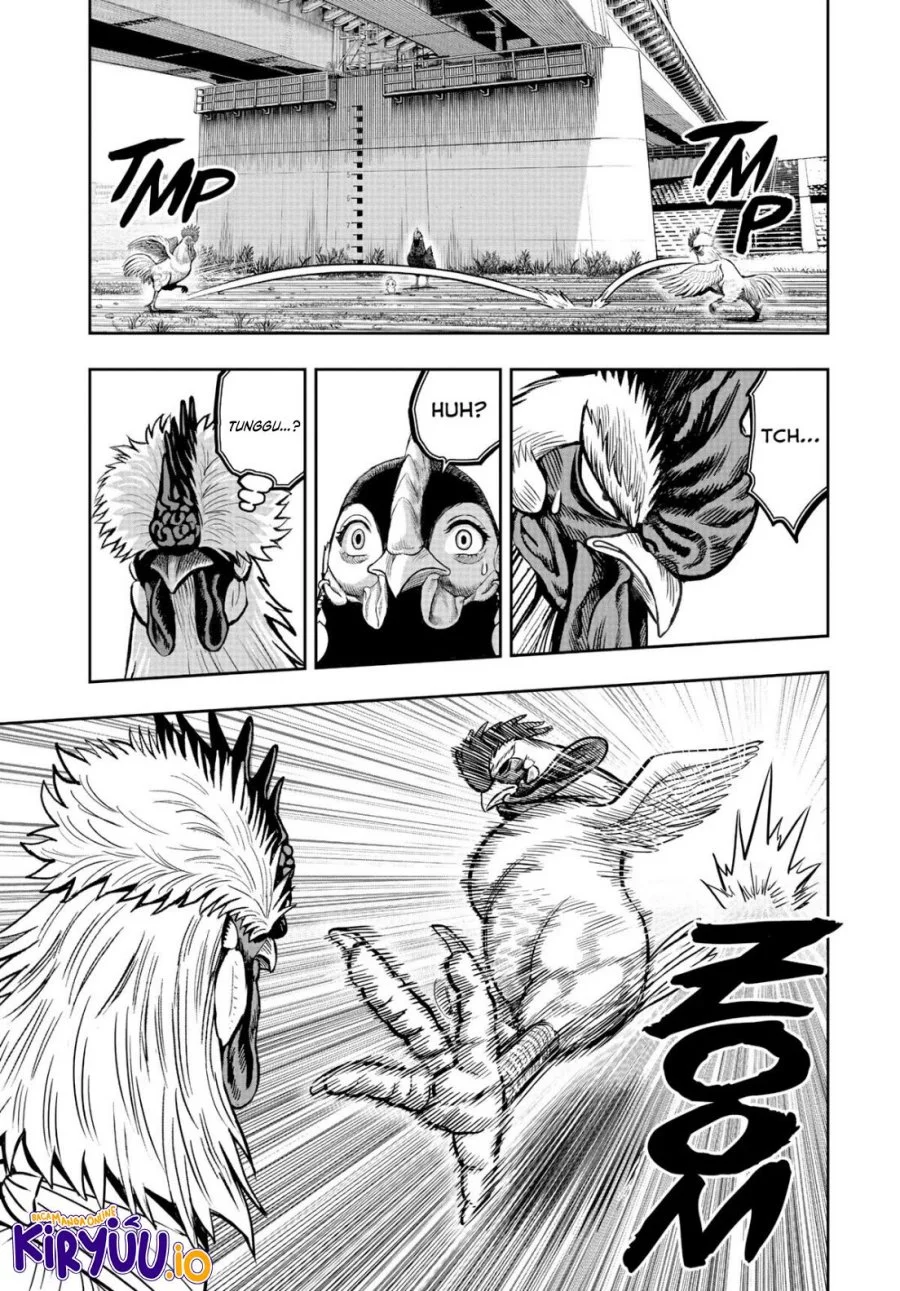 Rooster Fighter Chapter 19 - halaman 32