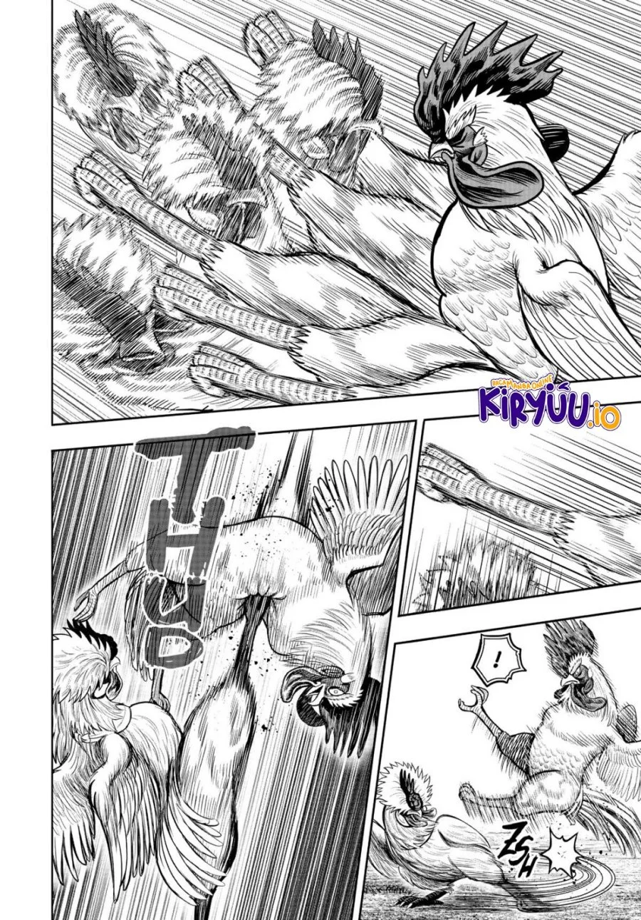 Rooster Fighter Chapter 19 - halaman 33