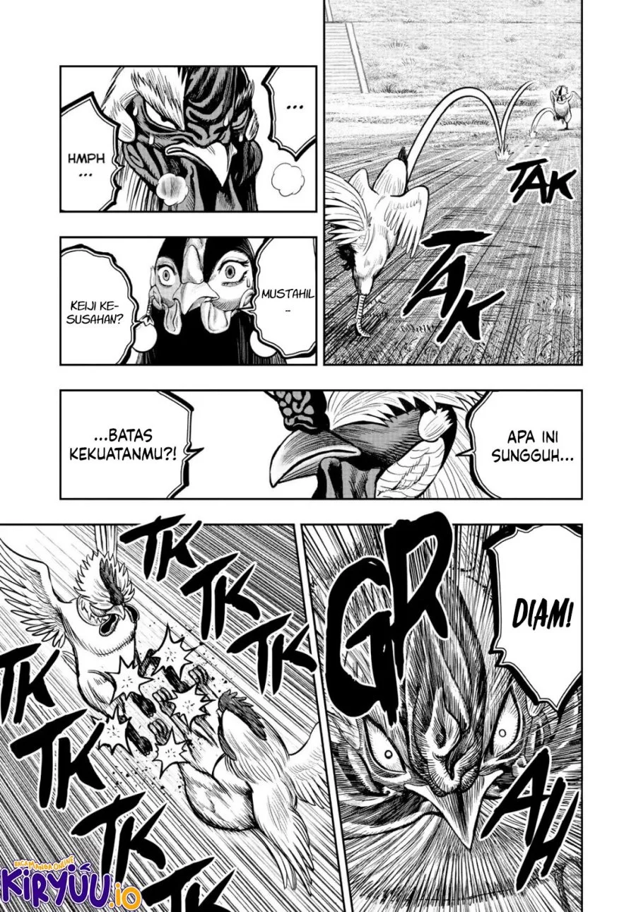 Rooster Fighter Chapter 19 - halaman 34