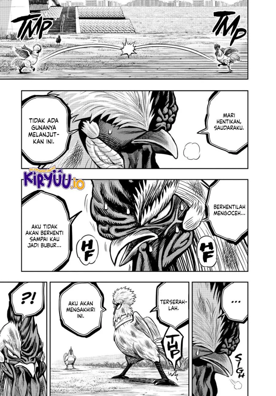 Rooster Fighter Chapter 19 - halaman 36