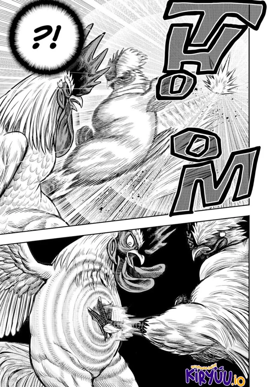 Rooster Fighter Chapter 19 - halaman 38