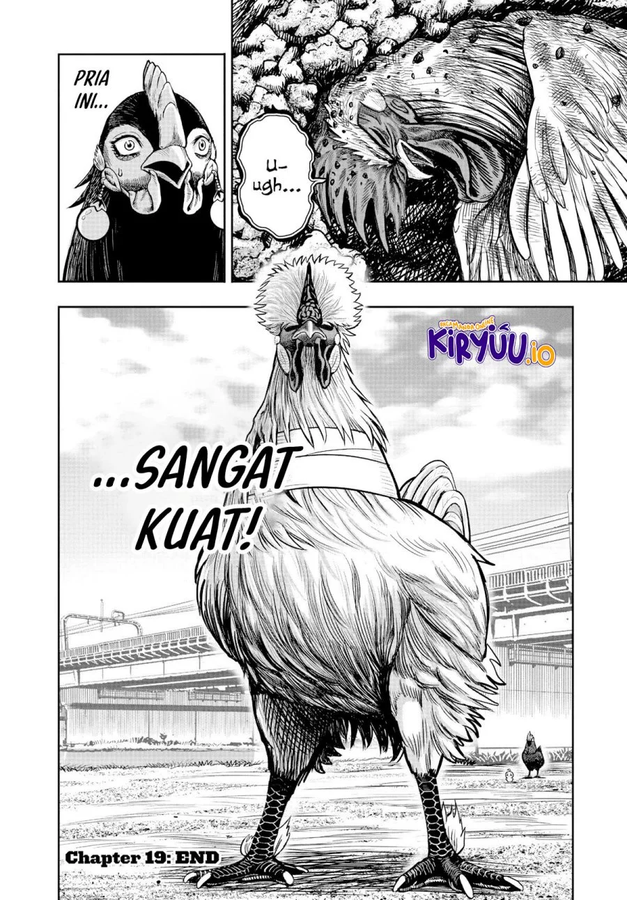 Rooster Fighter Chapter 19 - halaman 41