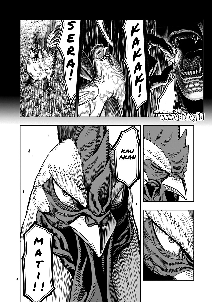 Rooster Fighter Chapter 2 - halaman 8