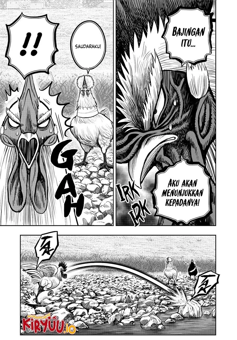 Rooster Fighter Chapter 20 - halaman 10
