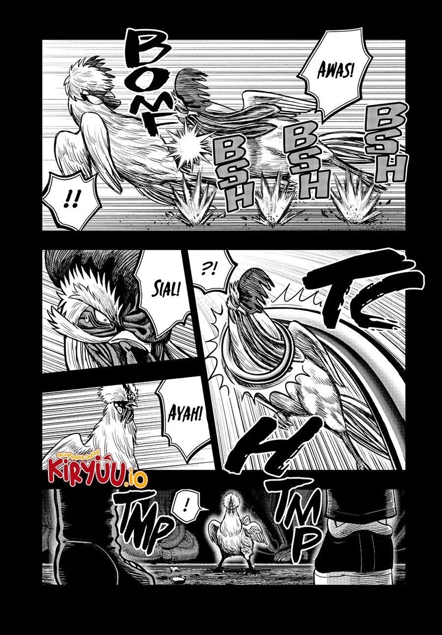 Rooster Fighter Chapter 20 - halaman 29