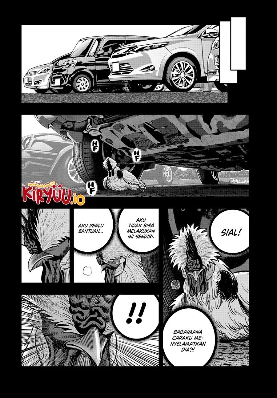 Rooster Fighter Chapter 20 - halaman 42