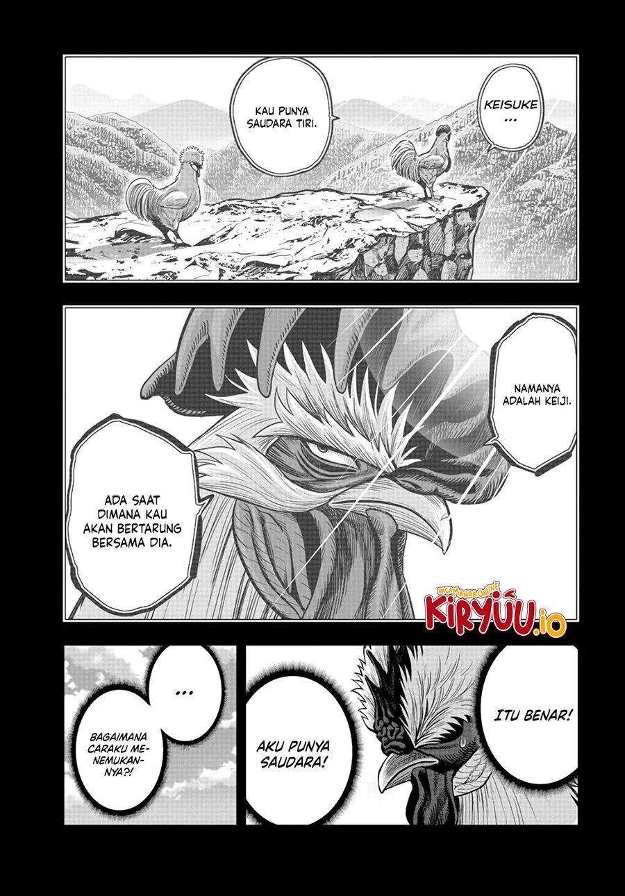 Rooster Fighter Chapter 20 - halaman 43