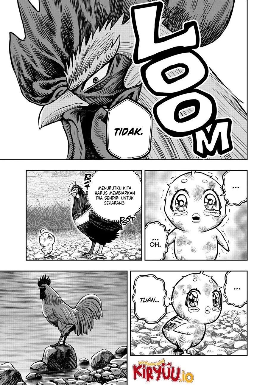 Rooster Fighter Chapter 20 - halaman 8