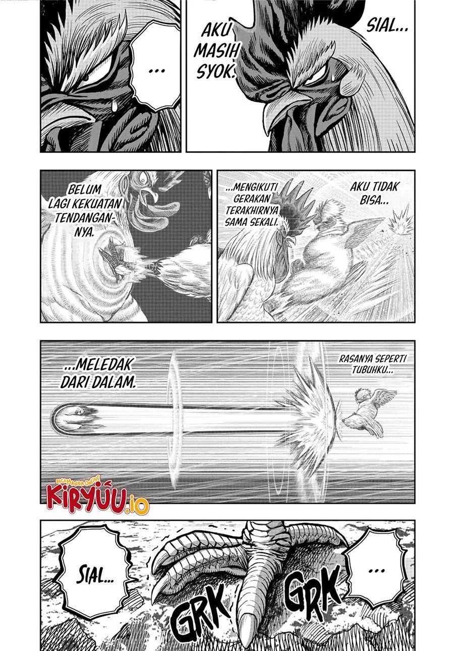 Rooster Fighter Chapter 20 - halaman 9