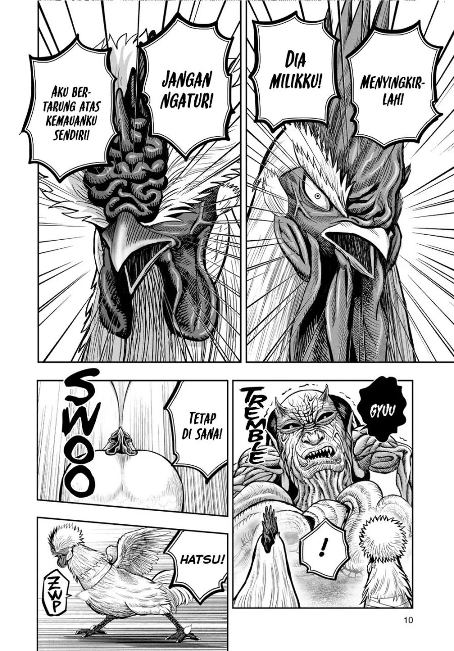 Rooster Fighter Chapter 21 - halaman 12