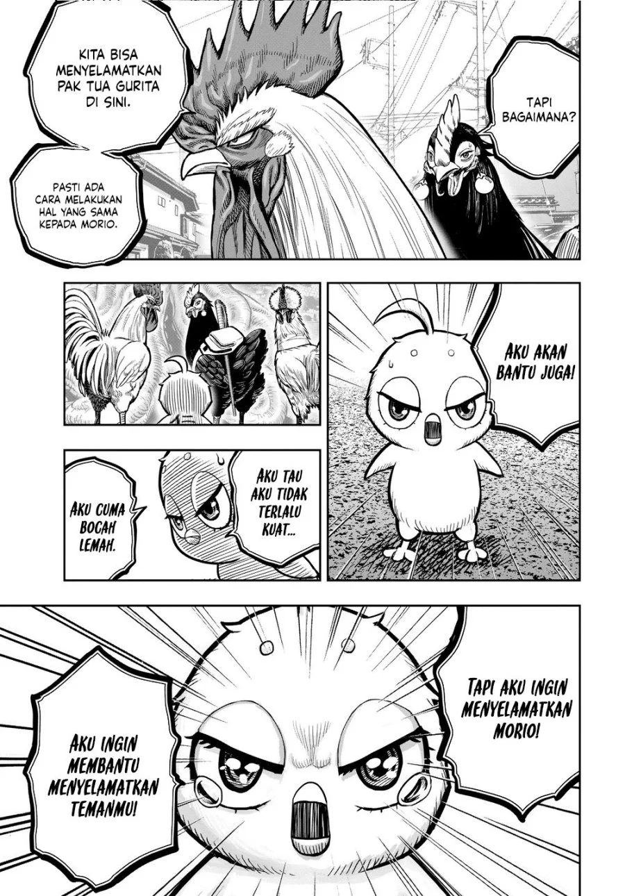 Rooster Fighter Chapter 21 - halaman 29