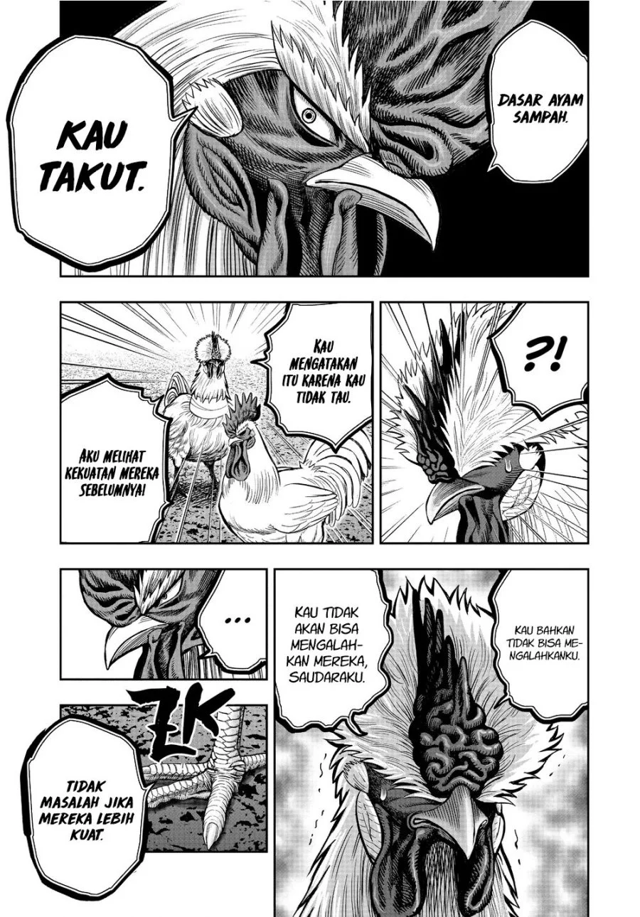 Rooster Fighter Chapter 21 - halaman 31
