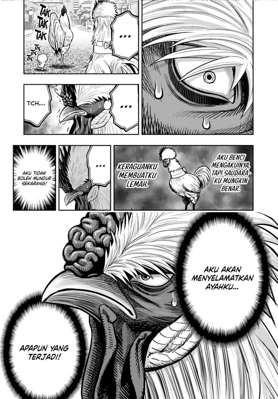 Rooster Fighter Chapter 21 - halaman 33