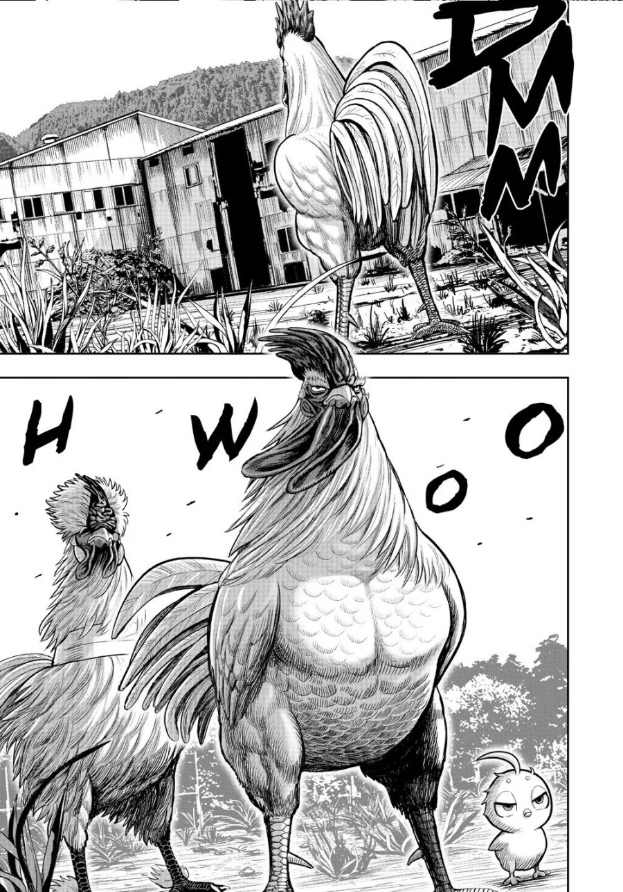 Rooster Fighter Chapter 21 - halaman 39