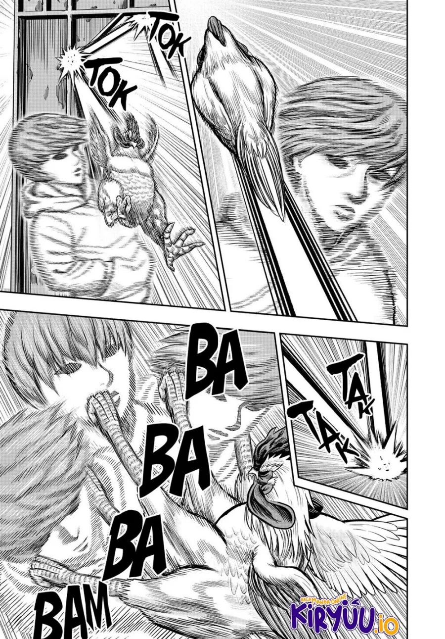 Rooster Fighter Chapter 22 - halaman 6