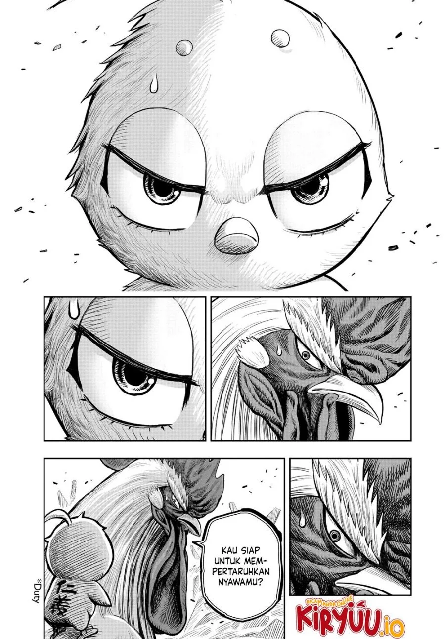 Rooster Fighter Chapter 23 - halaman 10