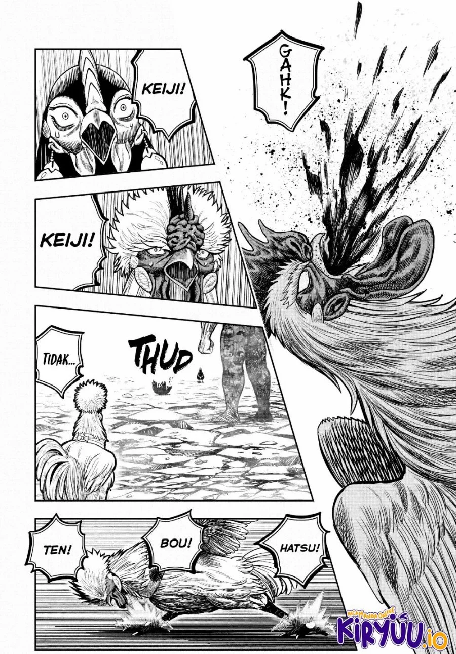 Rooster Fighter Chapter 24 - halaman 30