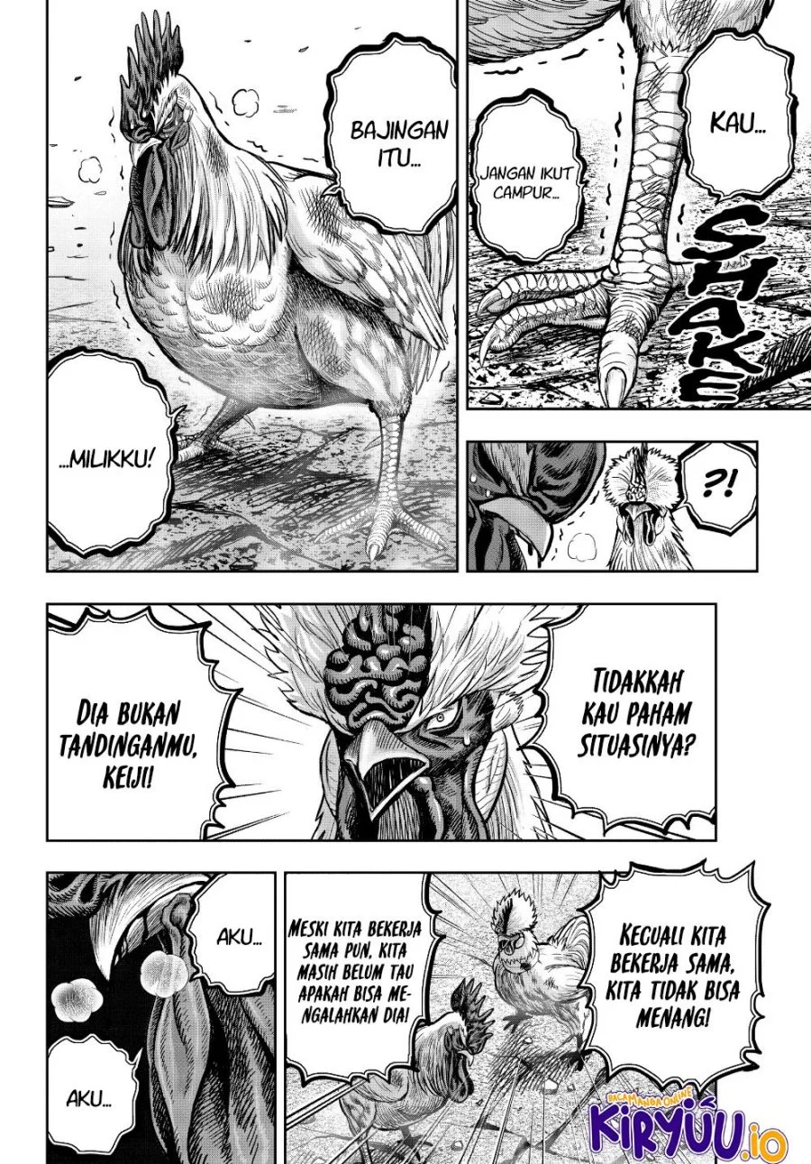 Rooster Fighter Chapter 24 - halaman 32